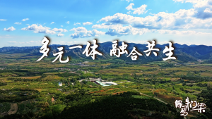 10.龙的传人遇见初代龙图腾