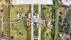 11.《龙凤呈祥 红山CP》