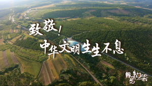 12.当古人智慧与今人巧思“撞个满怀”