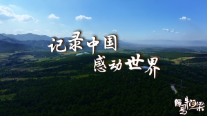 15.《惊艳了中华文明的童年,然后呢?》